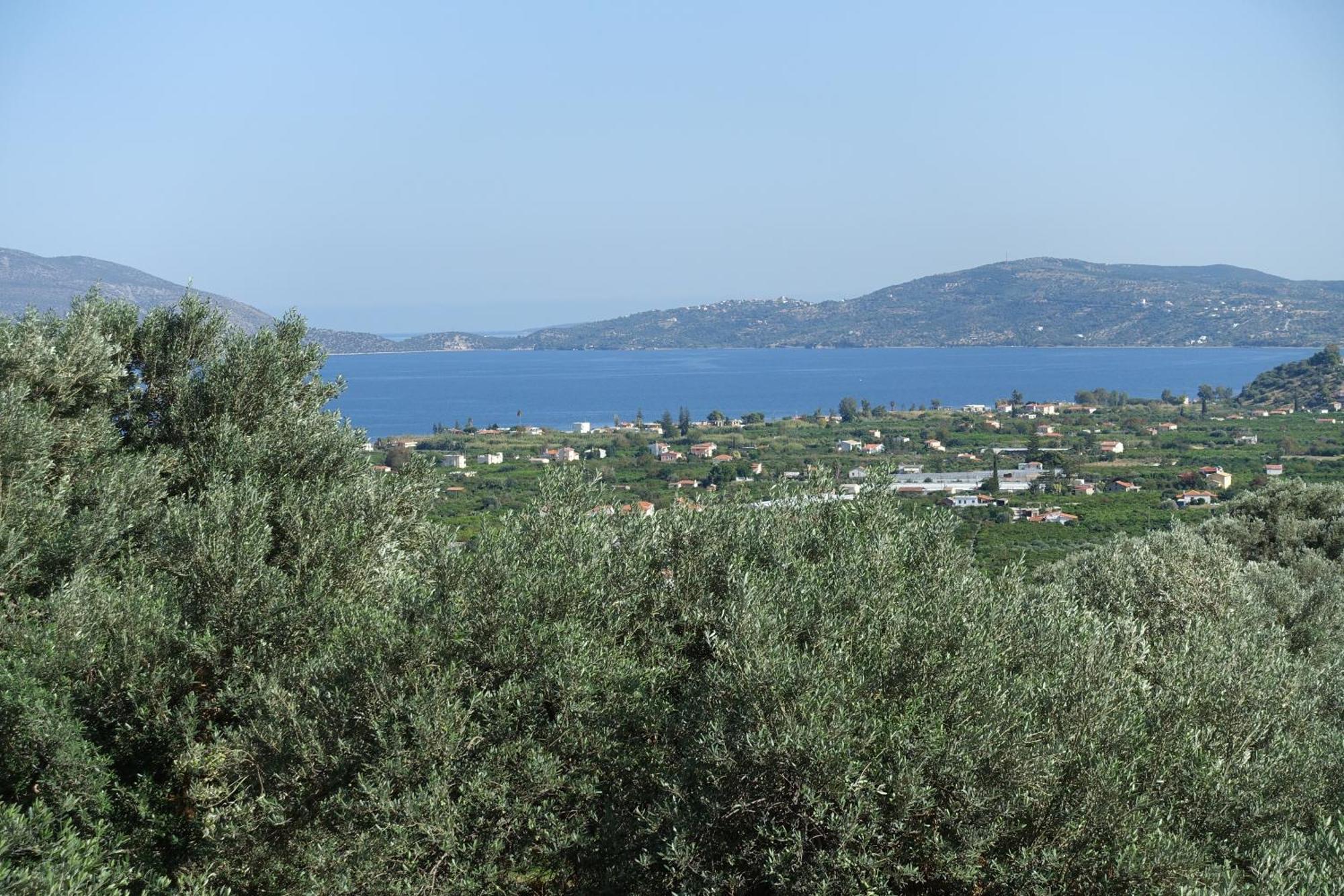 Studio In Villa In Kalloni Direkt Am Meer Exterior photo
